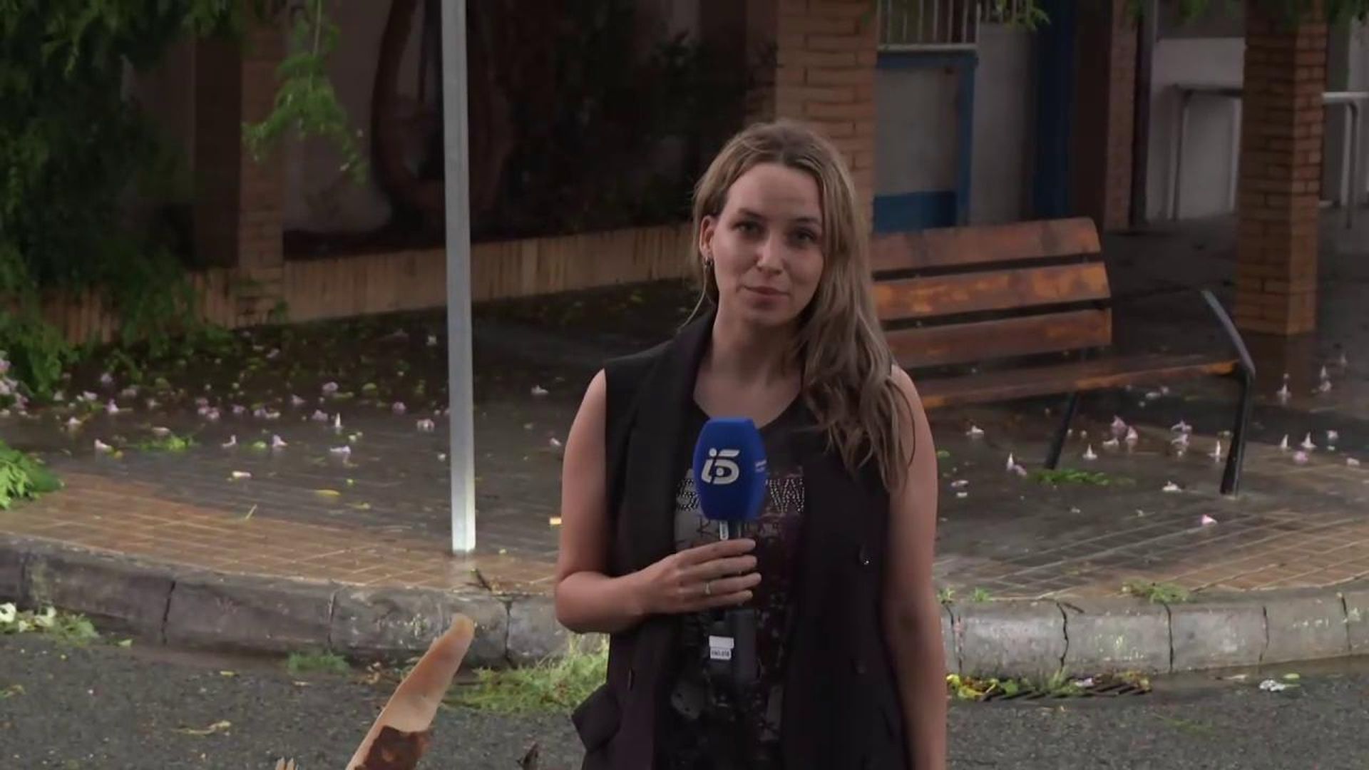 Perellonet, una de las zonas más afectadas por las tormentas en Valencia: una palmera aplasta varias vehículos