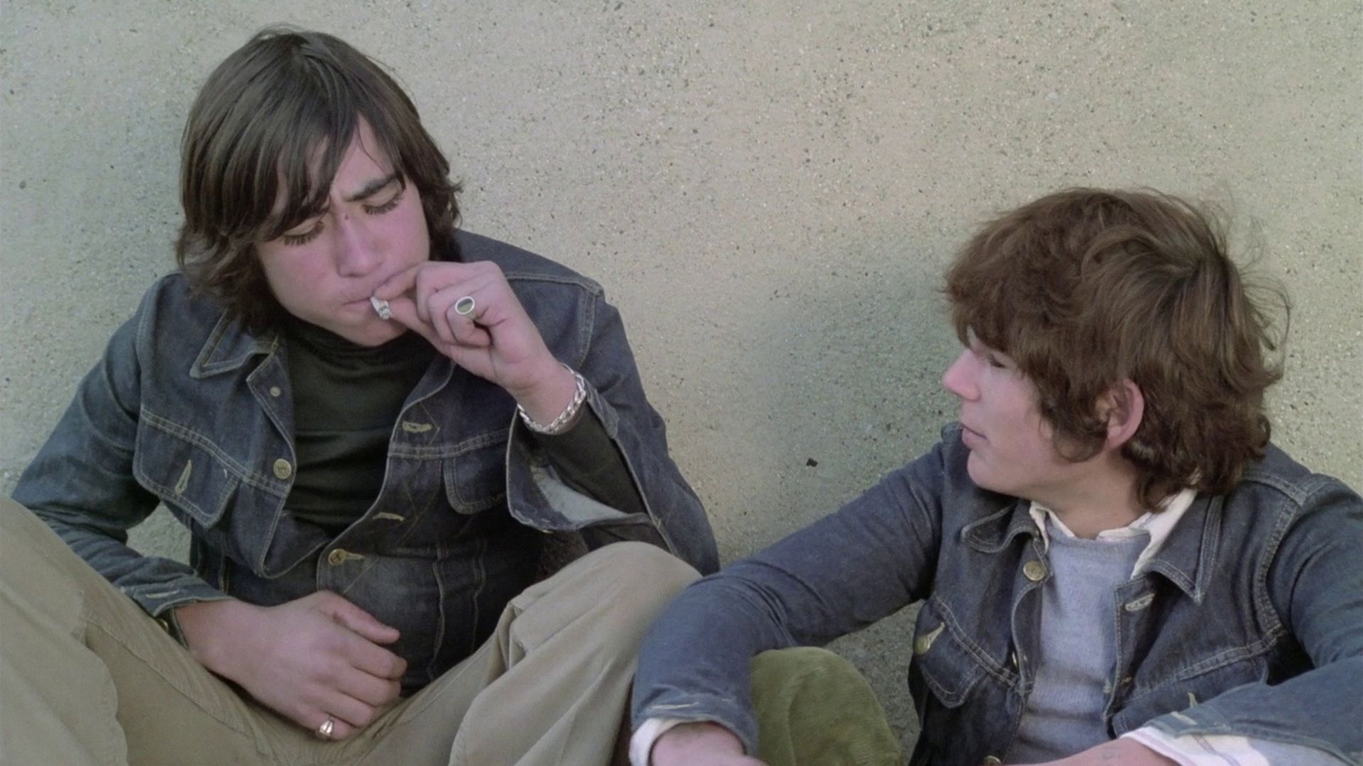 Perros callejeros (1977)
