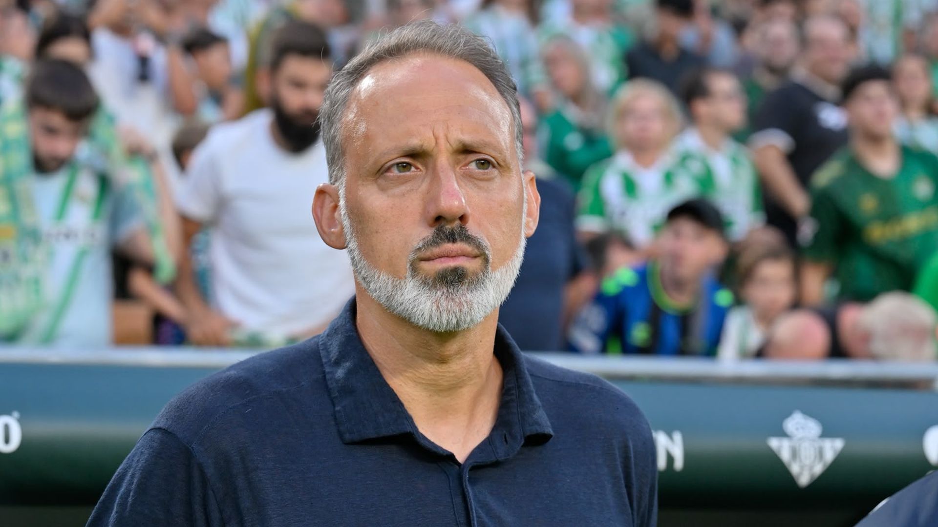 Pellegrino Matarazzo, antes del Betis-Real Sociedad