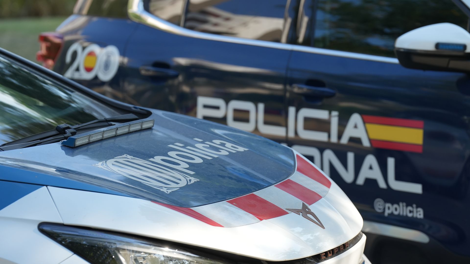 Los Mossos investigan la muerte violenta de un hombre tras una pelea en La Ràpita, Tarragona Los Mossos investigan la muerte violenta de un hombre tras una pelea en La Ràpita, Tarragona