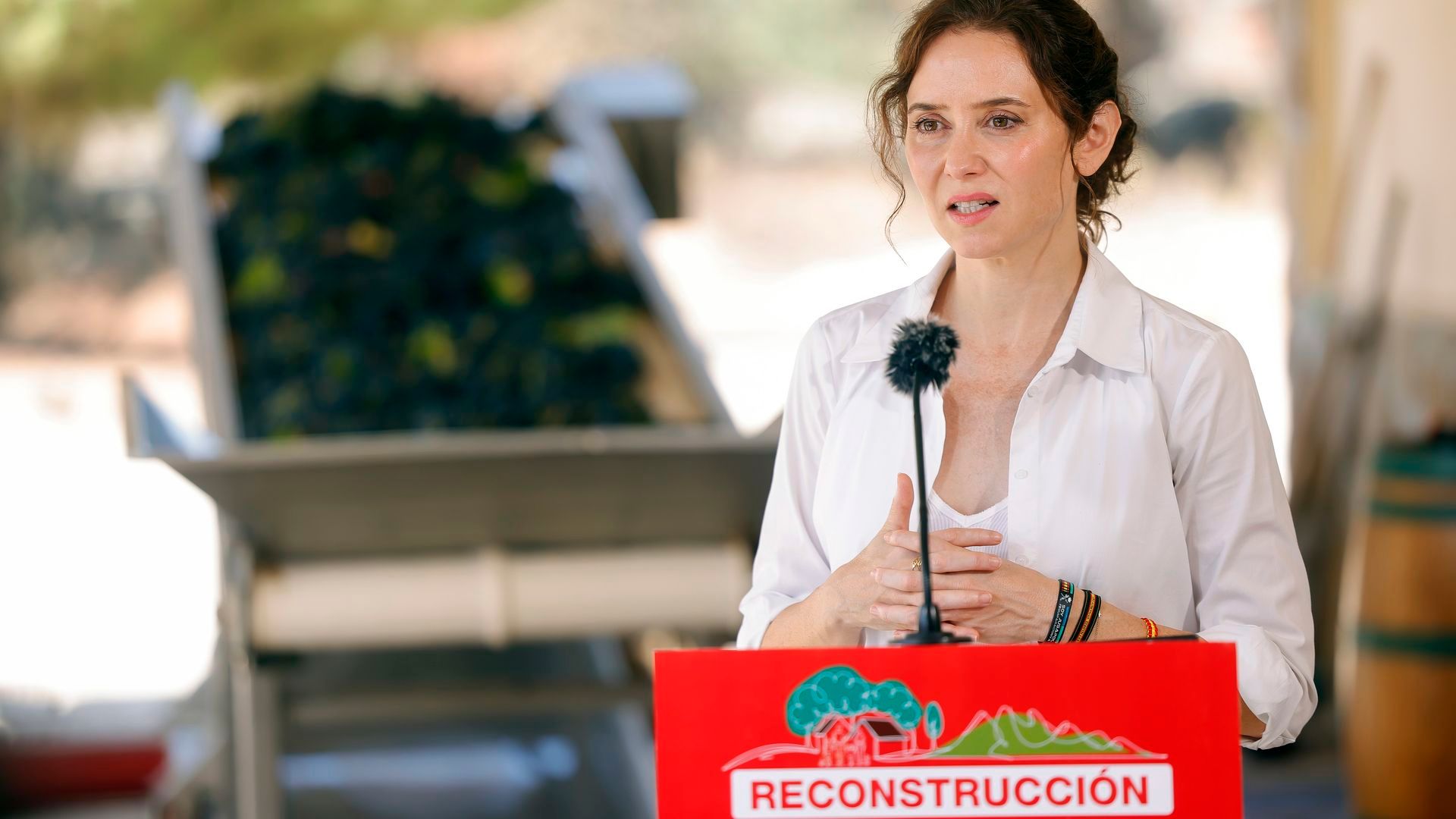 Ayuso defiende que ya se ha "dicho todo" sobre el ático y "se puede demostrar" Ayuso defiende que ya se ha "dicho todo" sobre el ático y "se puede demostrar"
