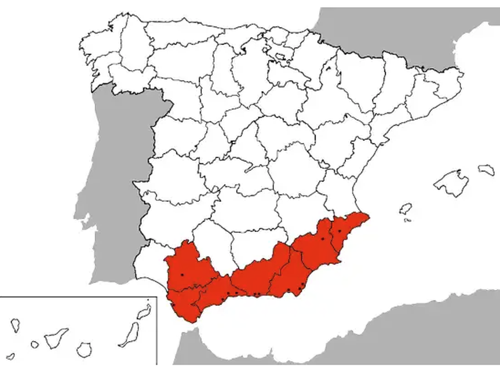 La plaga de hormiga invasora que se multiplica en Almería y se expande ya por España