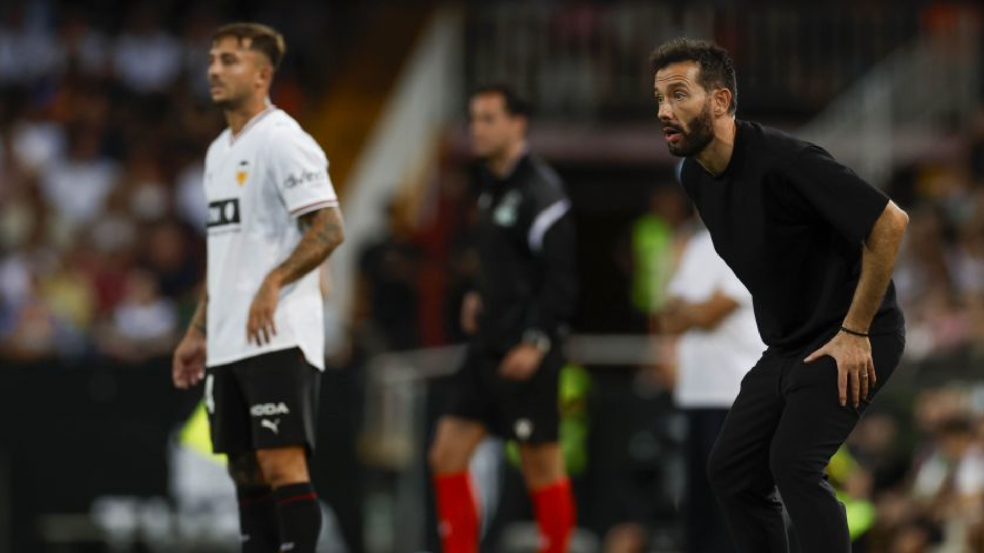 Corberán y Maffeo en Mestalla ante el Betis