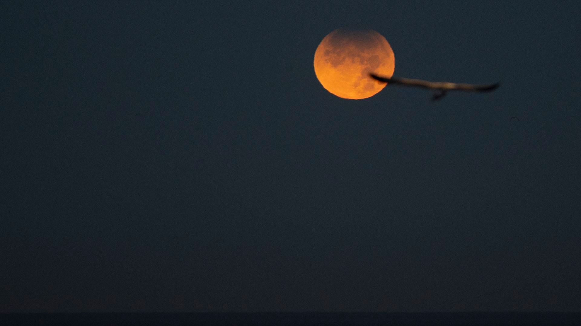 Eclipse lunar parcial visto desde A Coruña en noviembre de 2021. Eclipse lunar parcial visto desde A Coruña en noviembre de 2021.