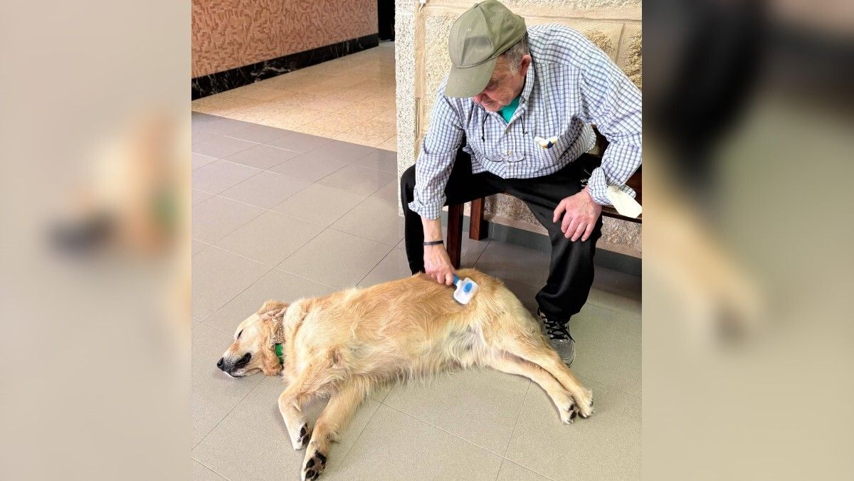 Ocuparse de los cuidados básicos de Odie ayuda a los mayores a sentirse útiles y realizados