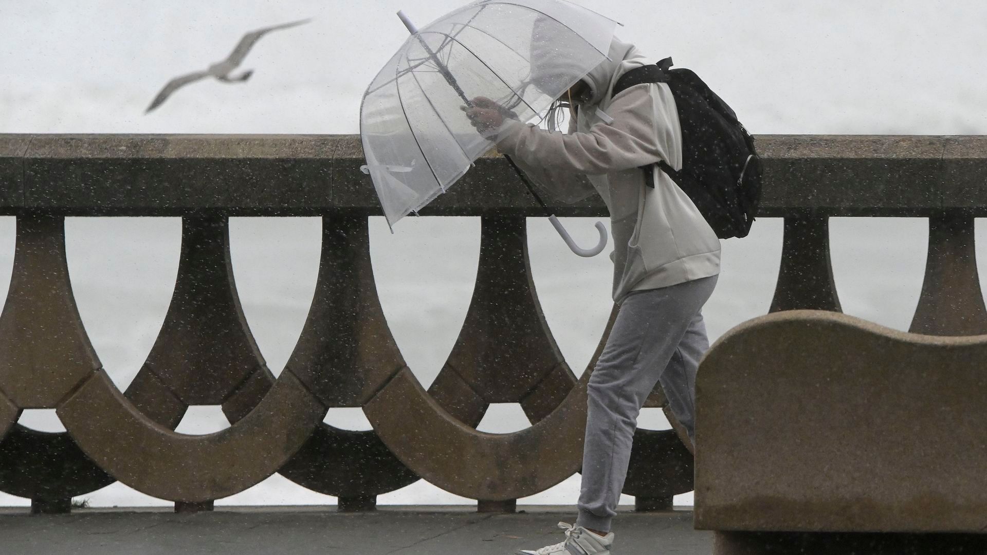 Una persona se protege de la lluvia y el viento con un paraguas Una persona se protege de la lluvia y el viento con un paraguas
