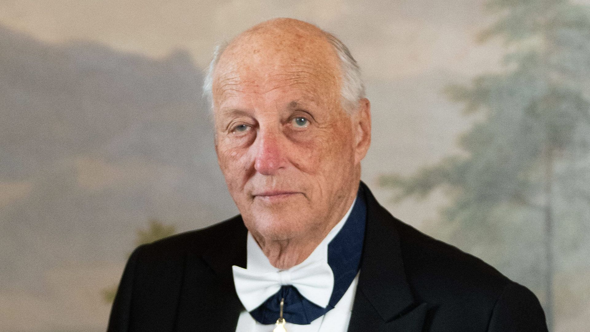 El rey Harald