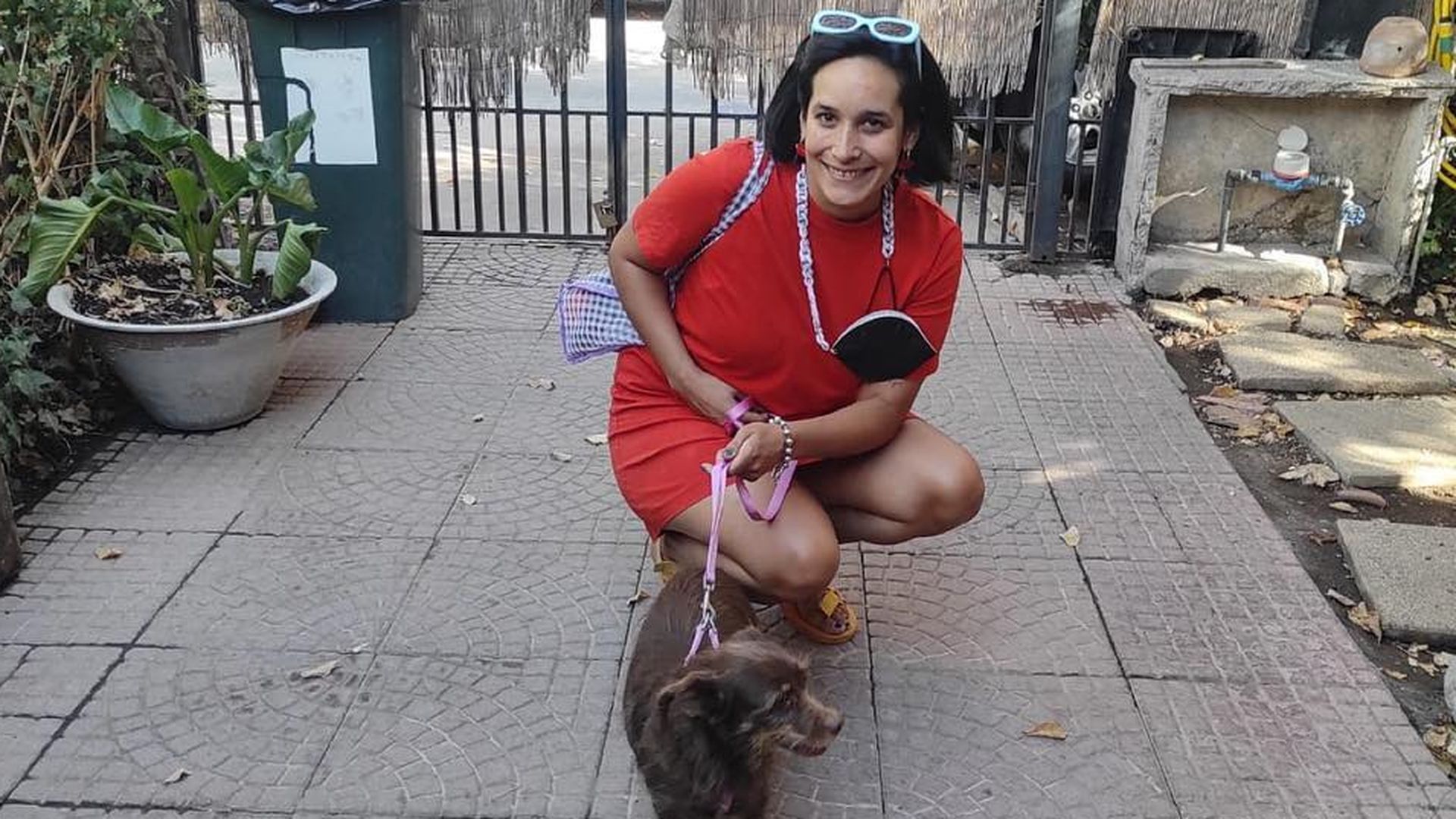 Paz Ramírez fue atropellada cuando corrió a rescatar a su perra Paz Ramírez fue atropellada cuando corrió a rescatar a su perra