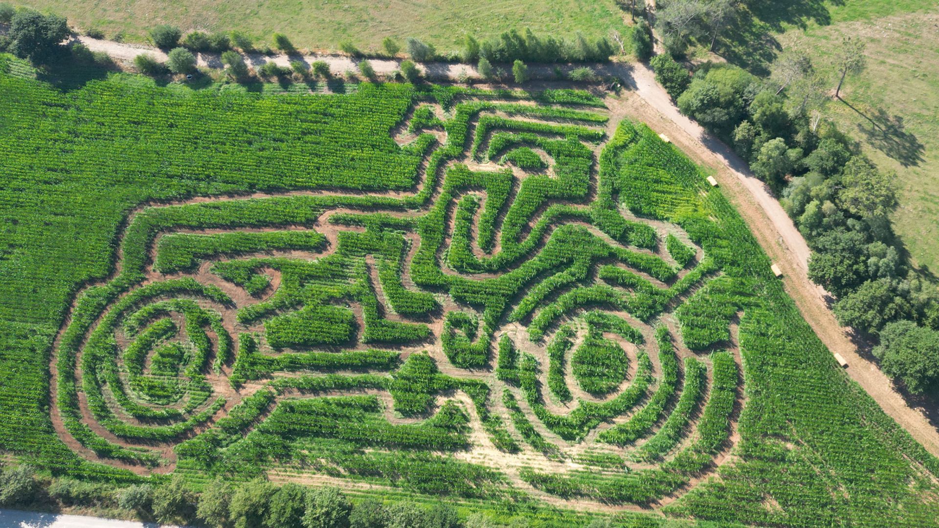 Casa Grande de Xanceda lleva 12 años utilizando agricultura de precisión para diseñar sus laberintos Casa Grande de Xanceda lleva 12 años utilizando agricultura de precisión para diseñar sus laberintos