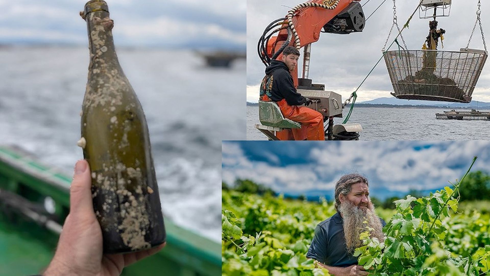 La aventura para extraer del mar el vino de crianza sumergida. La aventura para extraer del mar el vino de crianza sumergida.