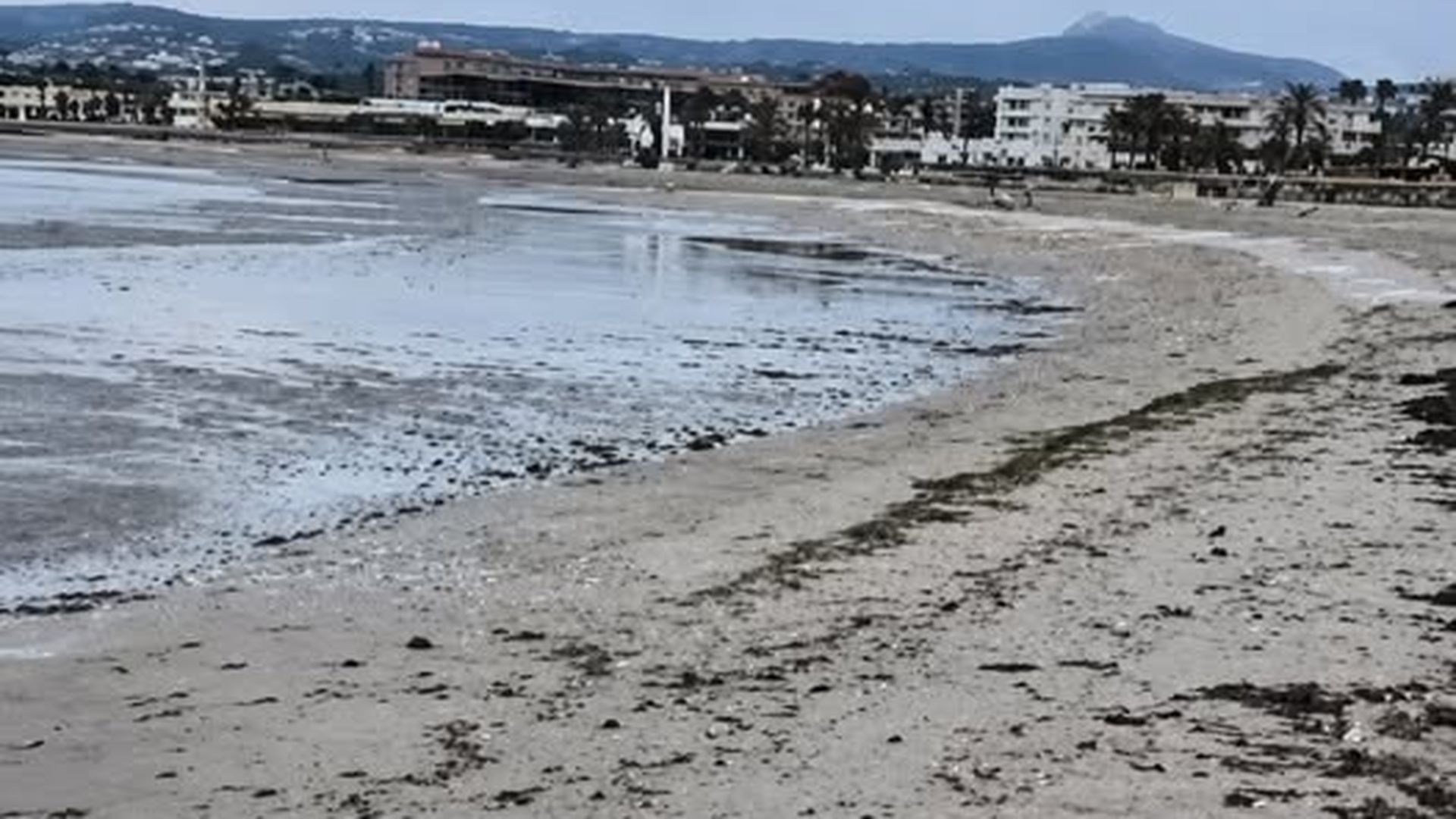 Nuevos 'meteotsunamis' dejan en alerta diferentes playas de Murcia: el retorno del mar podría poner en peligro a los bañistas Nuevos 'meteotsunamis' dejan en alerta diferentes playas de Murcia: el retorno del mar podría poner en peligro a los bañistas