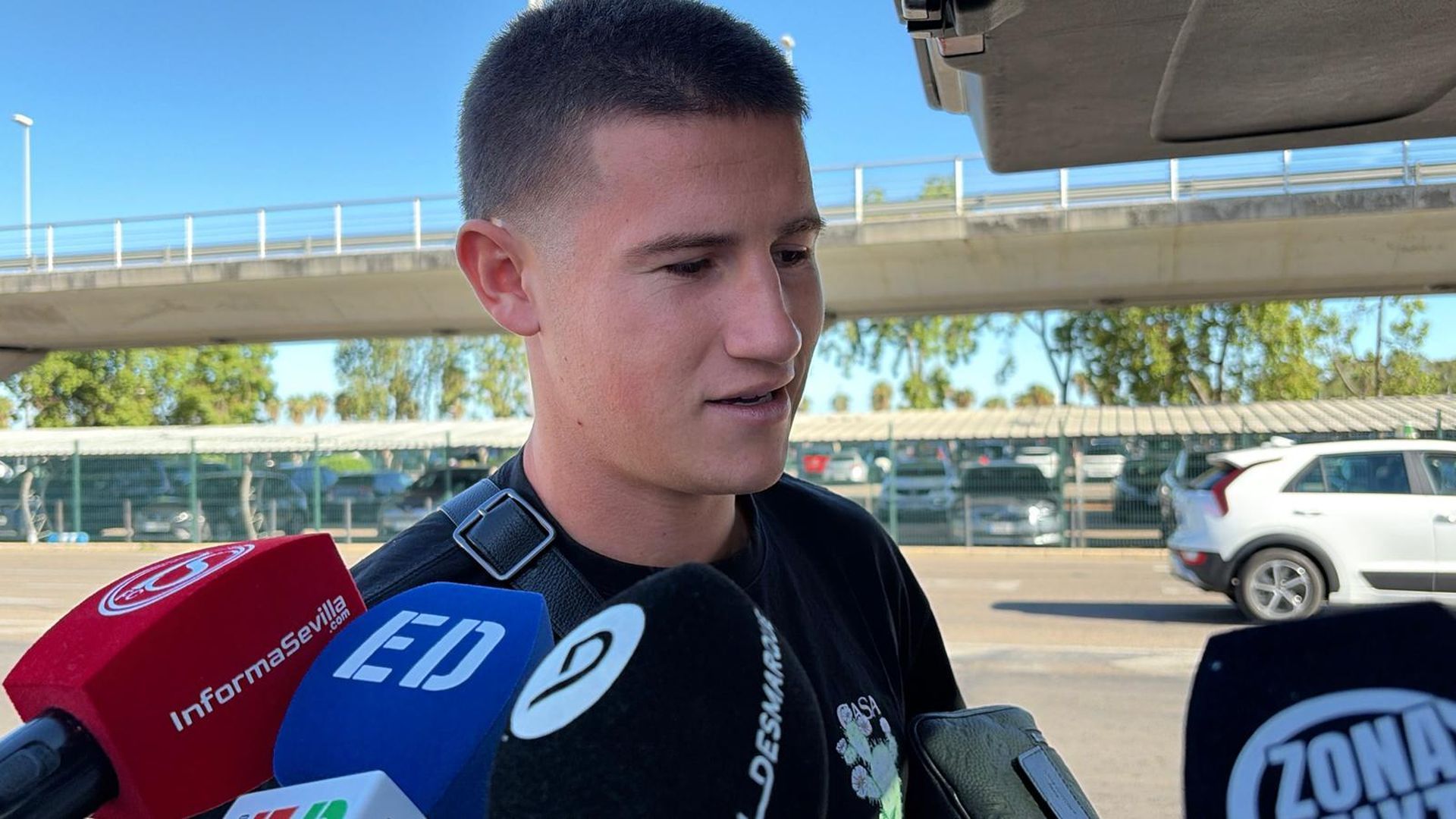 Oso, en el Aeropuerto de Sevilla antes de volar a Estrasburgo