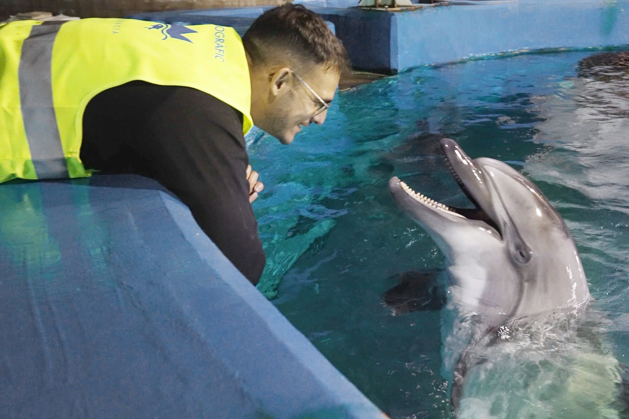 Trabajador sonríe a uno de los delfines tras su llegada