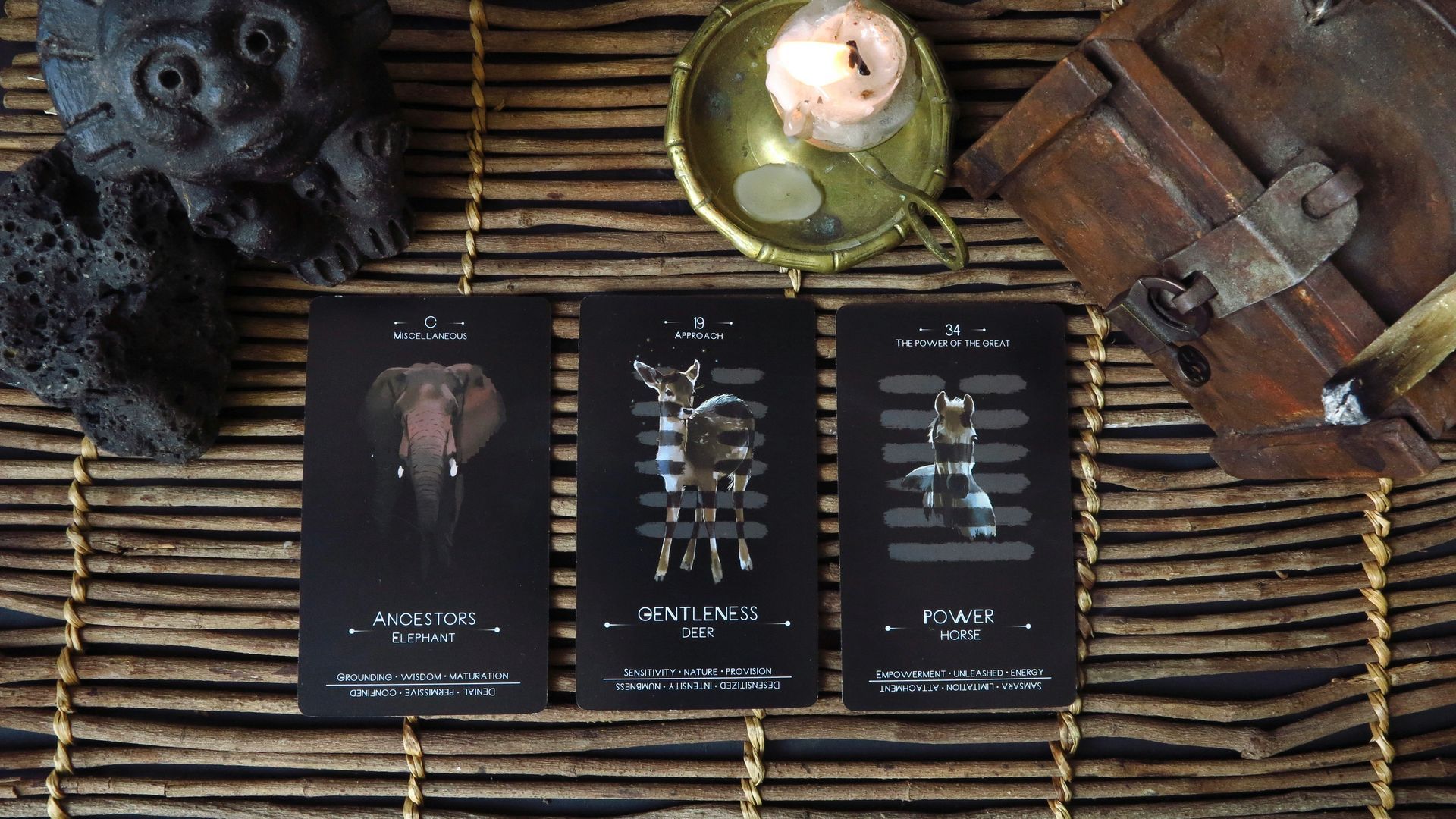 cartas oráculo animales cartas oráculo animales