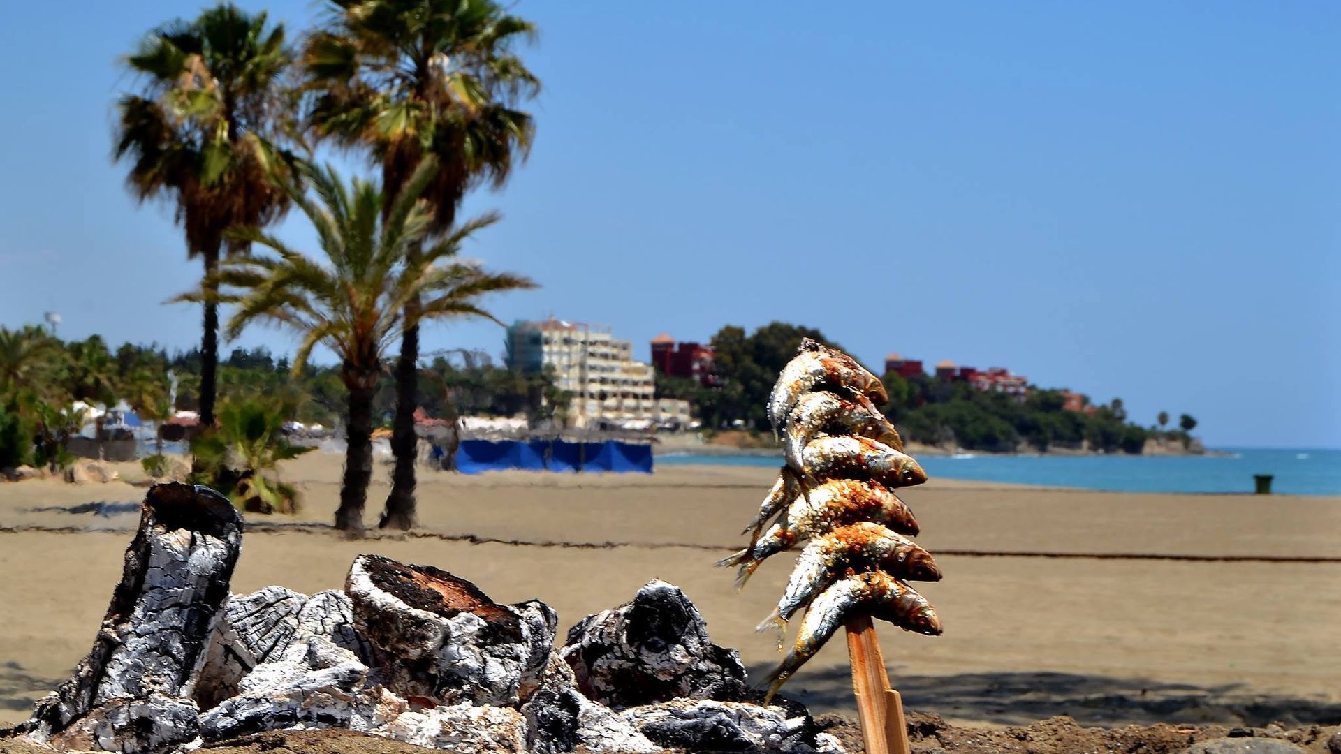 Espeto de sardinas asadas en leña en una playa de Estepona Espeto de sardinas asadas en leña en una playa de Estepona