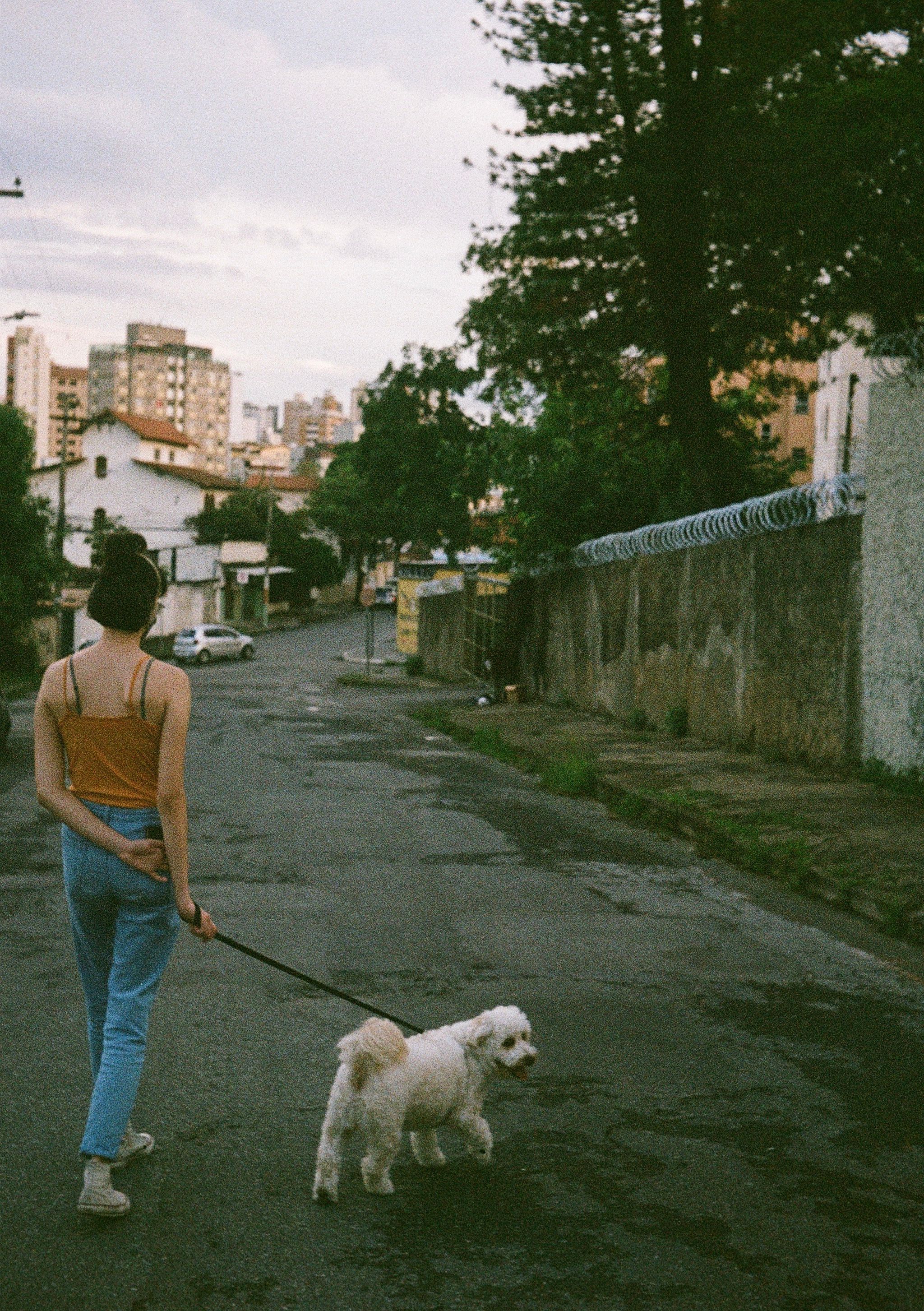 Mujer paseando con su perro
