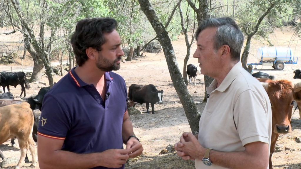 P40 - Al lado del sector primario en las zonas afectadas por el devastador incendio de Ávila