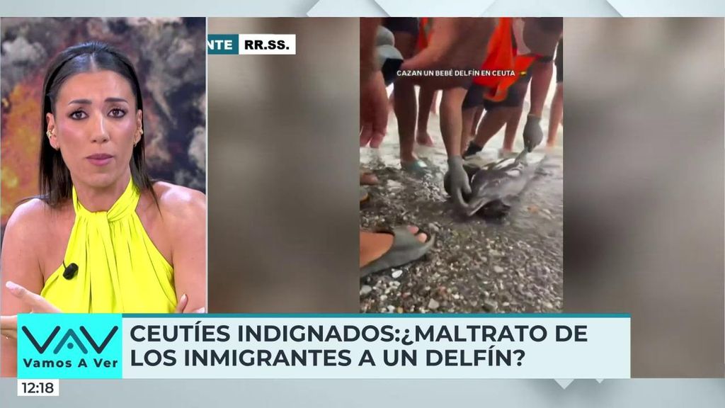 Patricia Pardo, indignada por la importancia que se le ha dado a un delfín maltratado por migrantes en Ceuta: "Hay niños en la calle que se mueren de hambre"