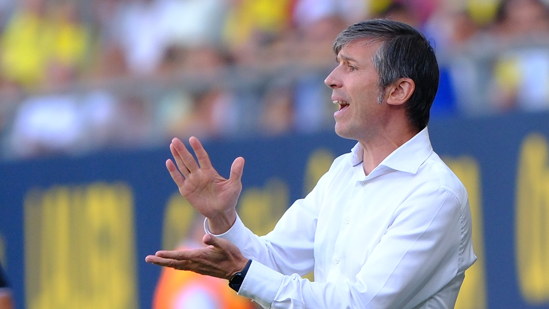 Albert Celades, durante un partido del Cádiz Albert Celades, durante un partido del Cádiz