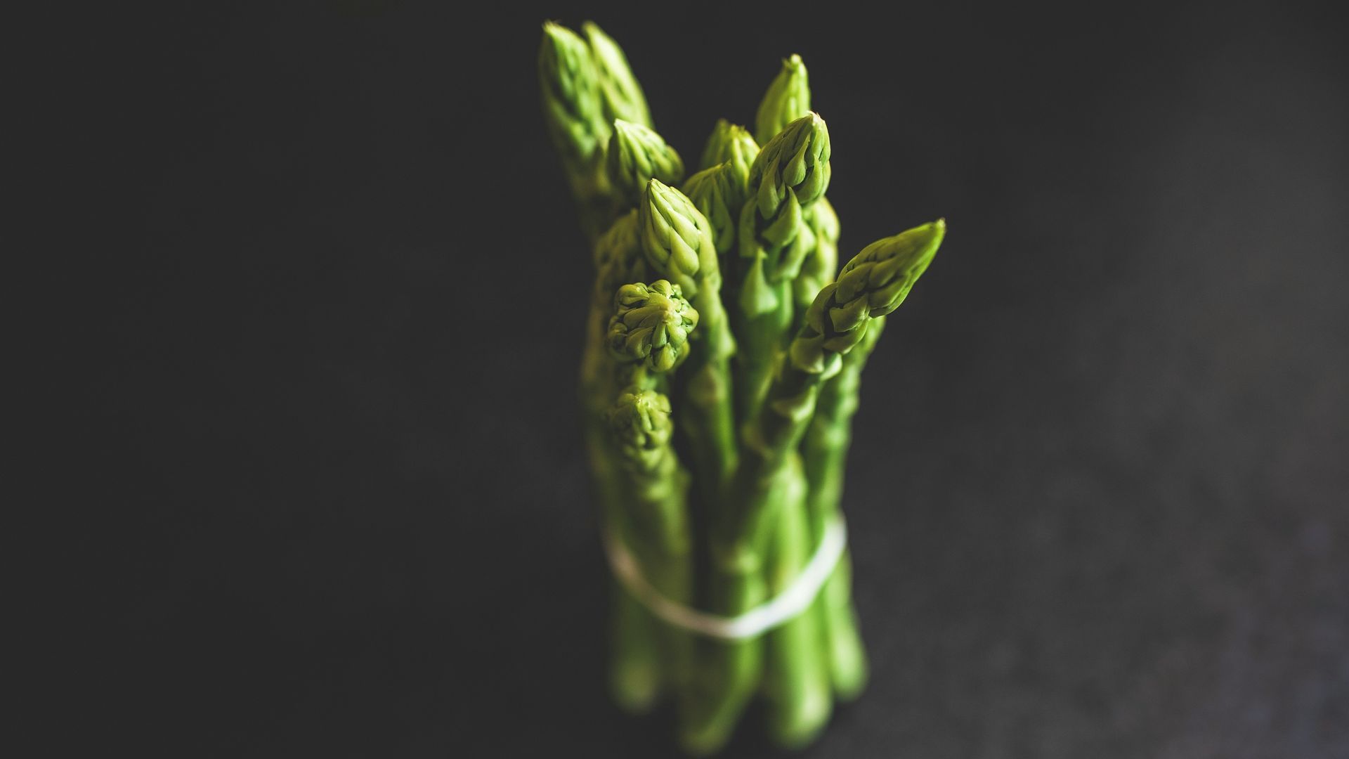 markus-spiske-qXV3qtnAHhk-unsplash markus-spiske-qXV3qtnAHhk-unsplash