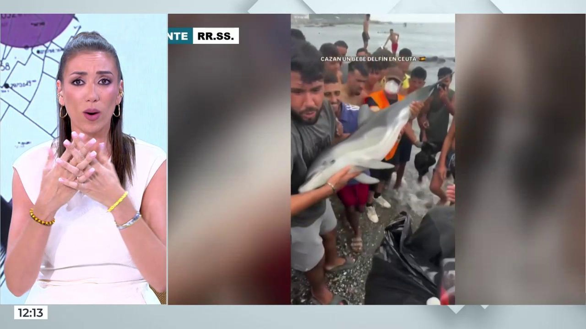 Patricia Pardo, rectifica y pide disculpas: "Condeno el maltrato animal y la invasión a Ceuta, pero también abogo por los derechos humanos" Patricia Pardo, rectifica y pide disculpas: "Condeno el maltrato animal y la invasión a Ceuta, pero también abogo por los derechos humanos"