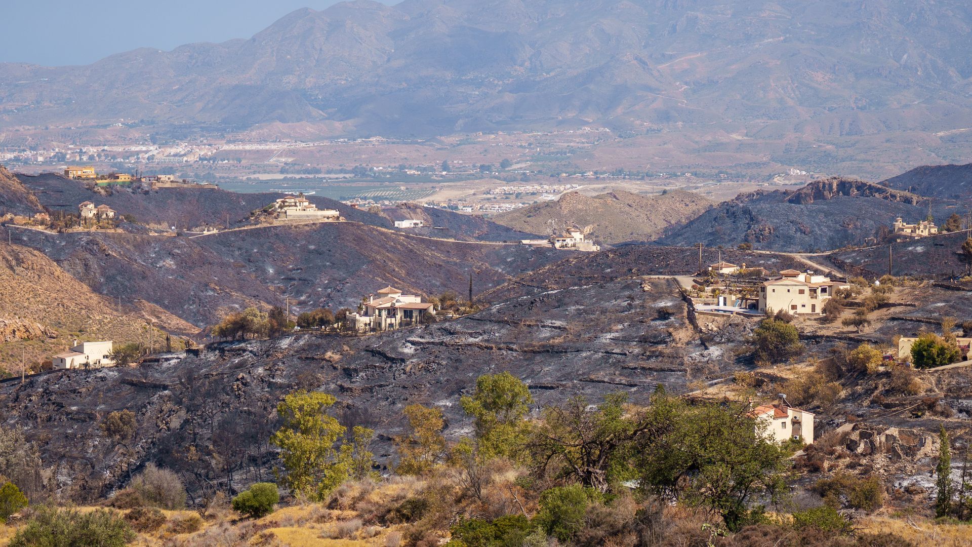 Muere una de las heridas en el incendio de Los Gallardos, en Almería: las víctimas mortales se elevan a 15 Muere una de las heridas en el incendio de Los Gallardos, en Almería: las víctimas mortales se elevan a 15