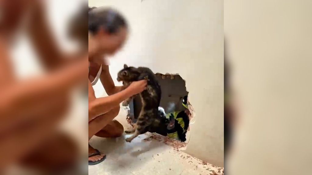 Bomberos de Valencia logran rescatar a un gato atrapado después de hacer un agujero en una pared
