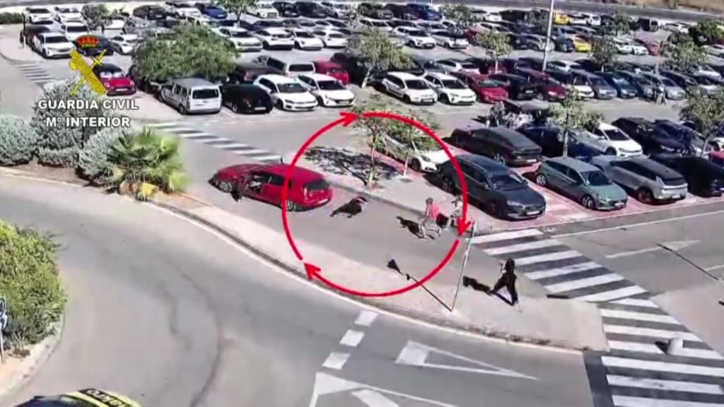 Detenido el conductor de un vehículo que arrolló a una dependienta que intentó evitar el robo en su establecimiento de Marratxí, Mallorca