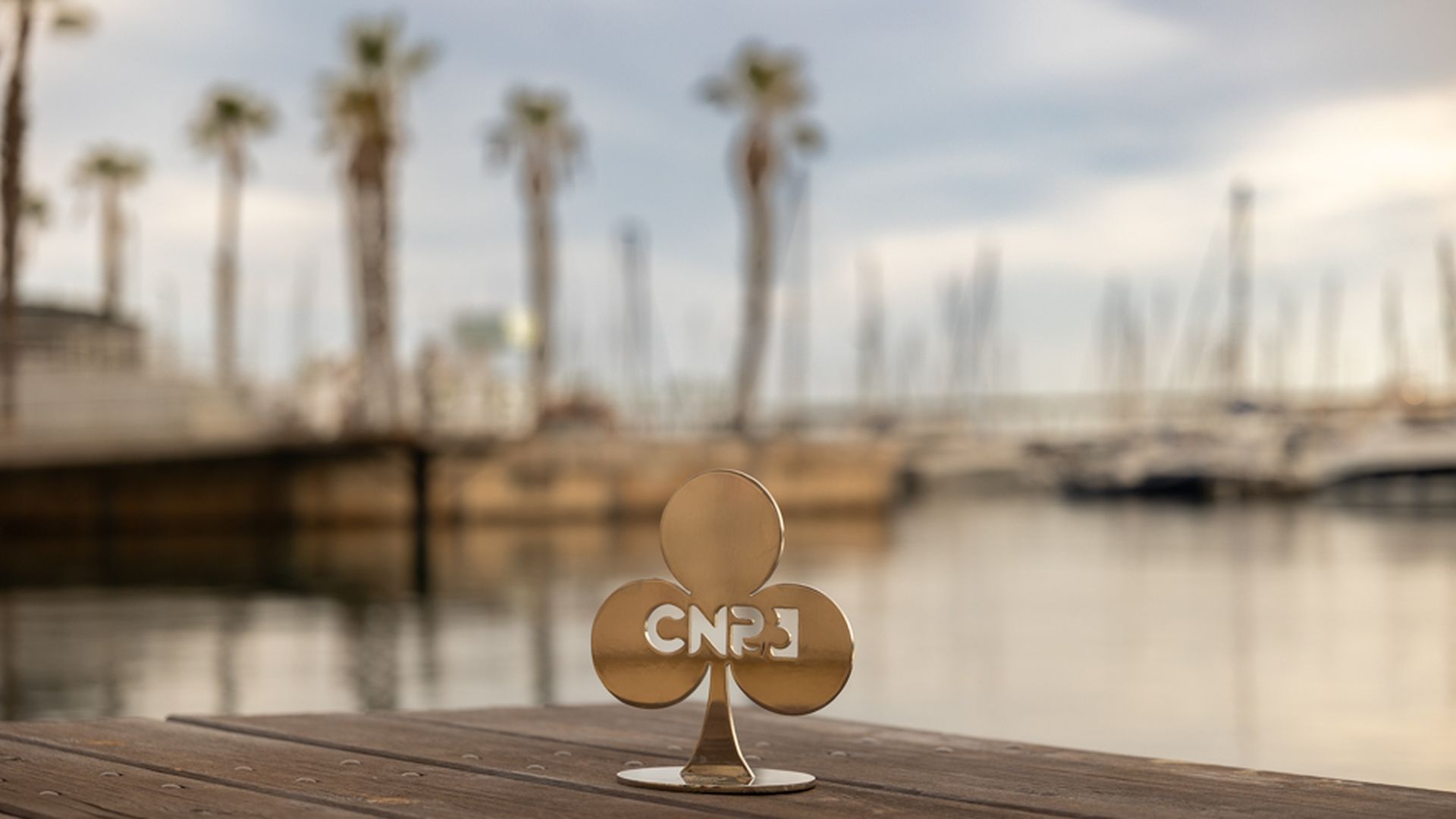 El trébol del CNP