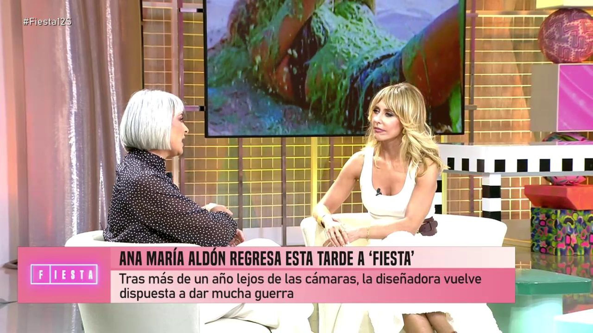 Ana María Aldón explica los motivos de su ausencia televisiva