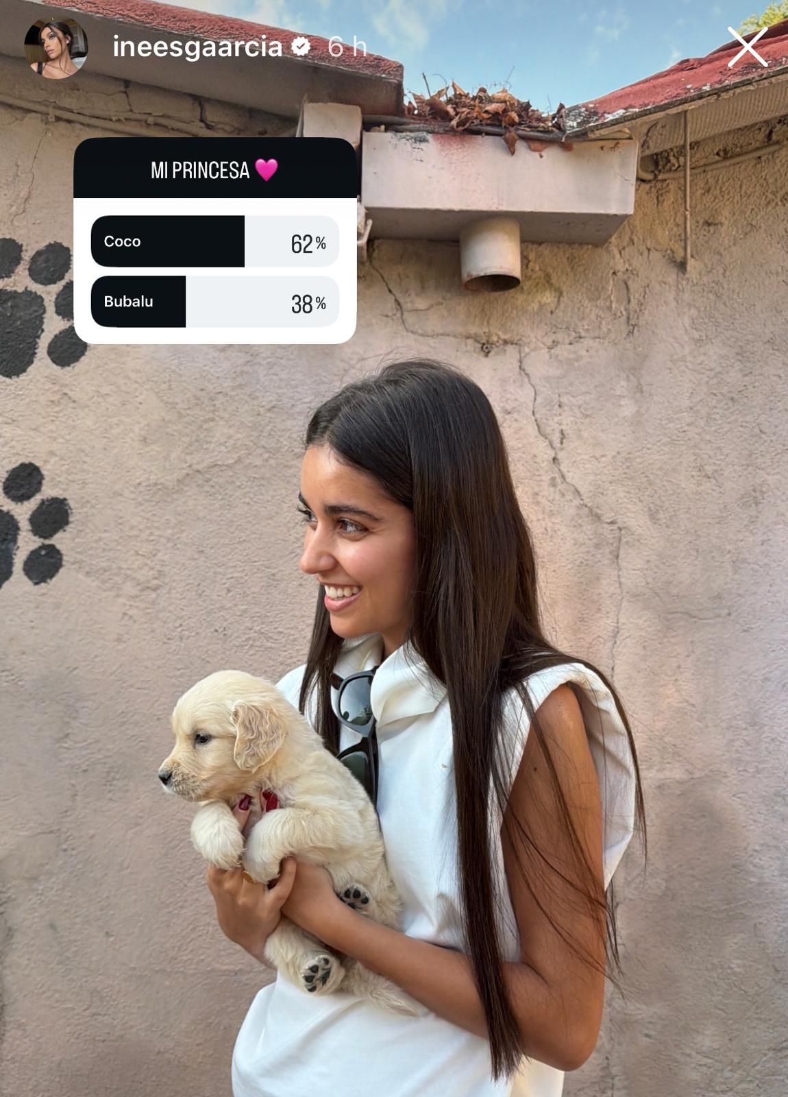 La encueta de Inés García para el nombre de uno de sus perros