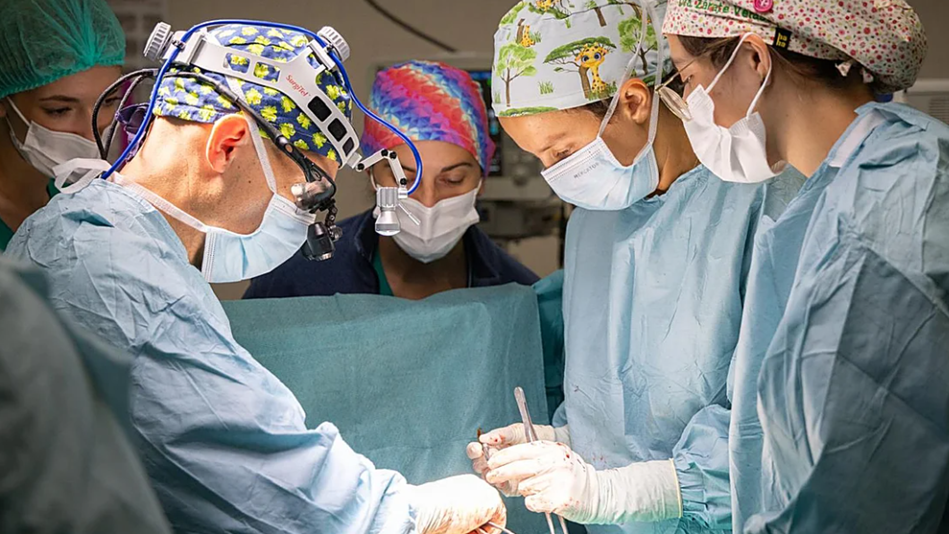 El Hospital Regional de Málaga realiza nueve trasplantes en tan solo 72 horas El Hospital Regional de Málaga realiza nueve trasplantes en tan solo 72 horas