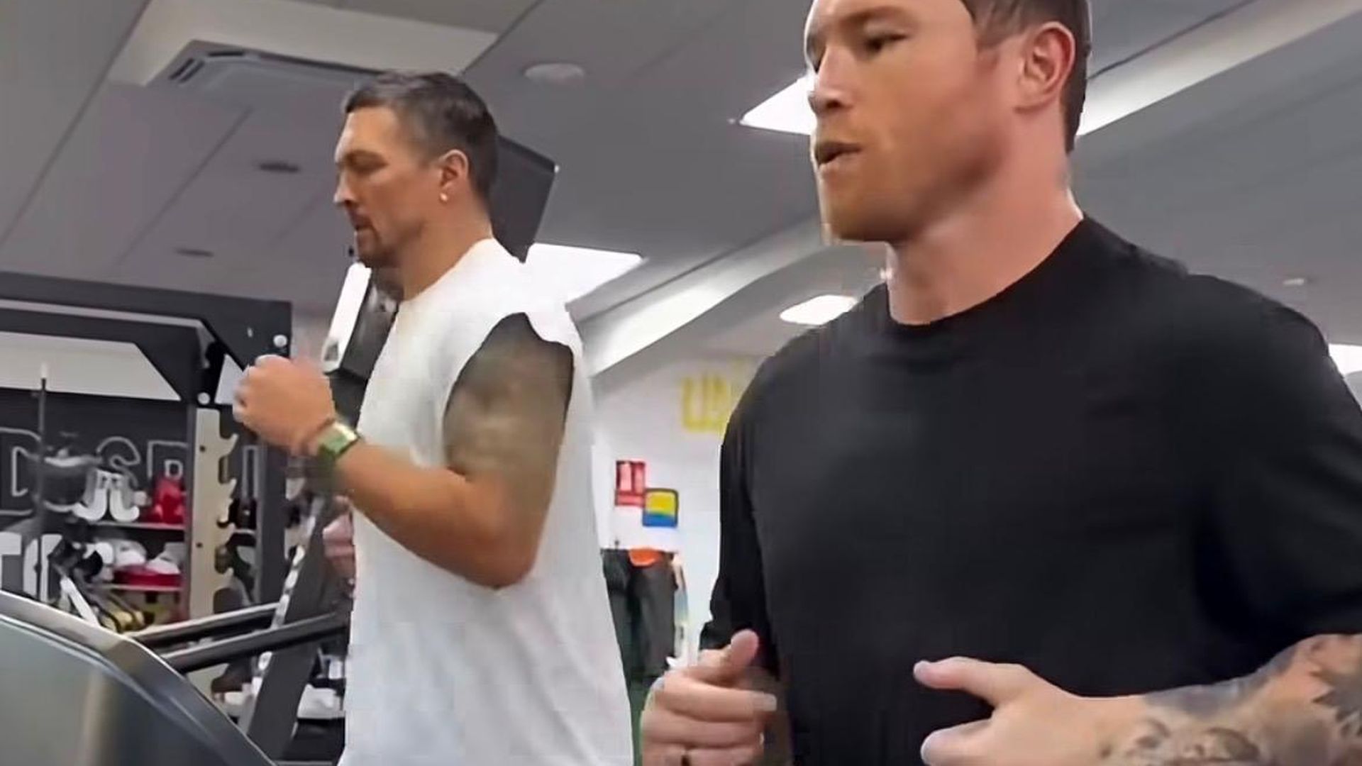 Canelo y Usyk corren juntos en la cinta Canelo y Usyk corren juntos en la cinta