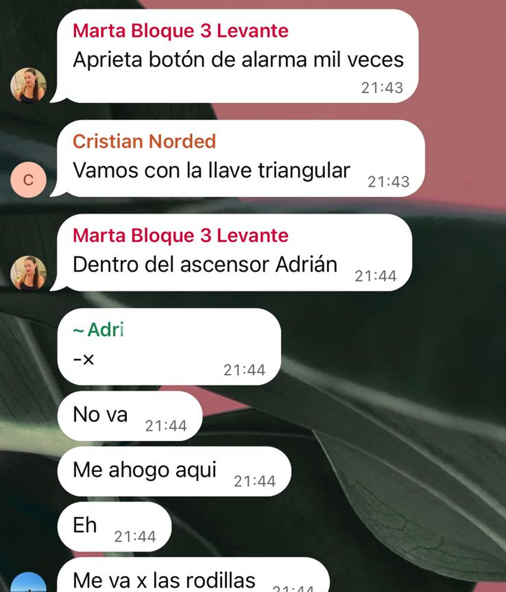 La conversación de los vecinos en WhatsApp