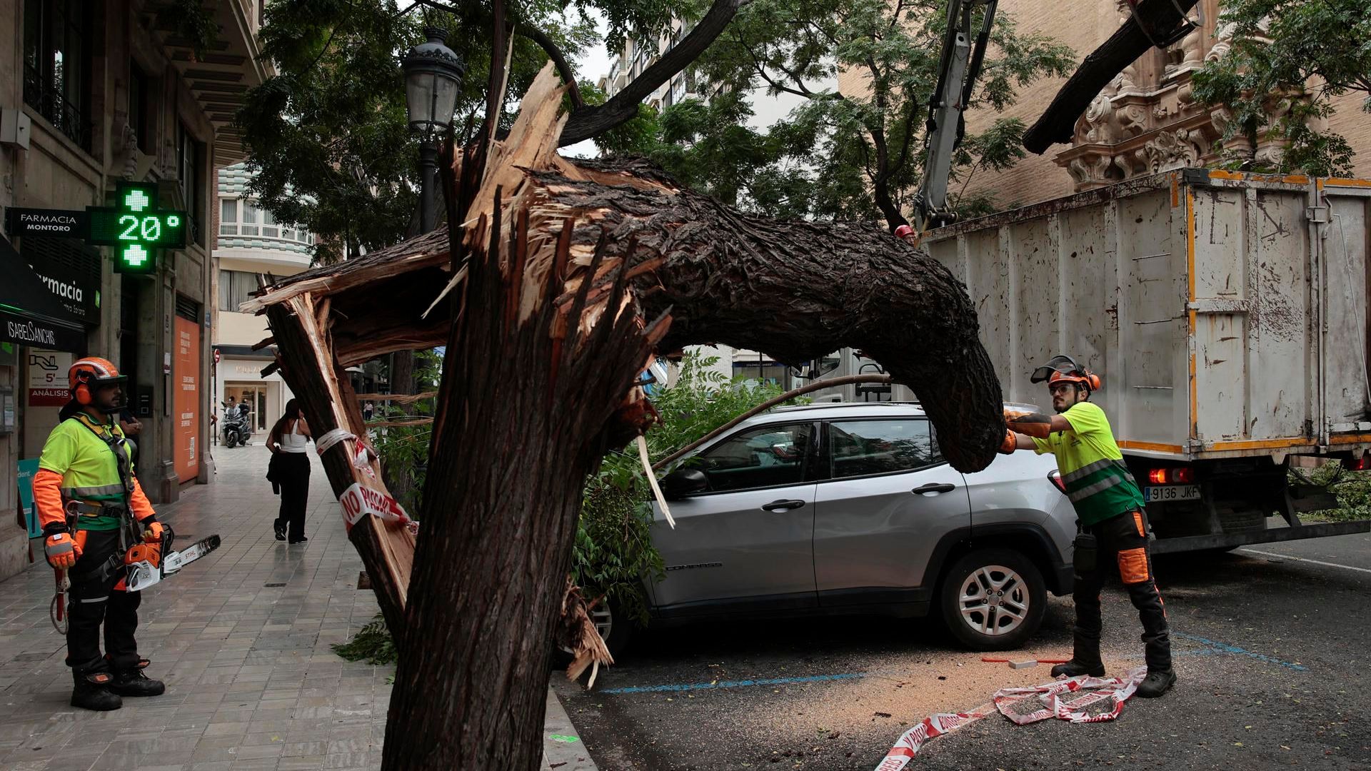 Los bombers de Valencia sacan un árbol que cayó encima de un coche Los bombers de Valencia sacan un árbol que cayó encima de un coche