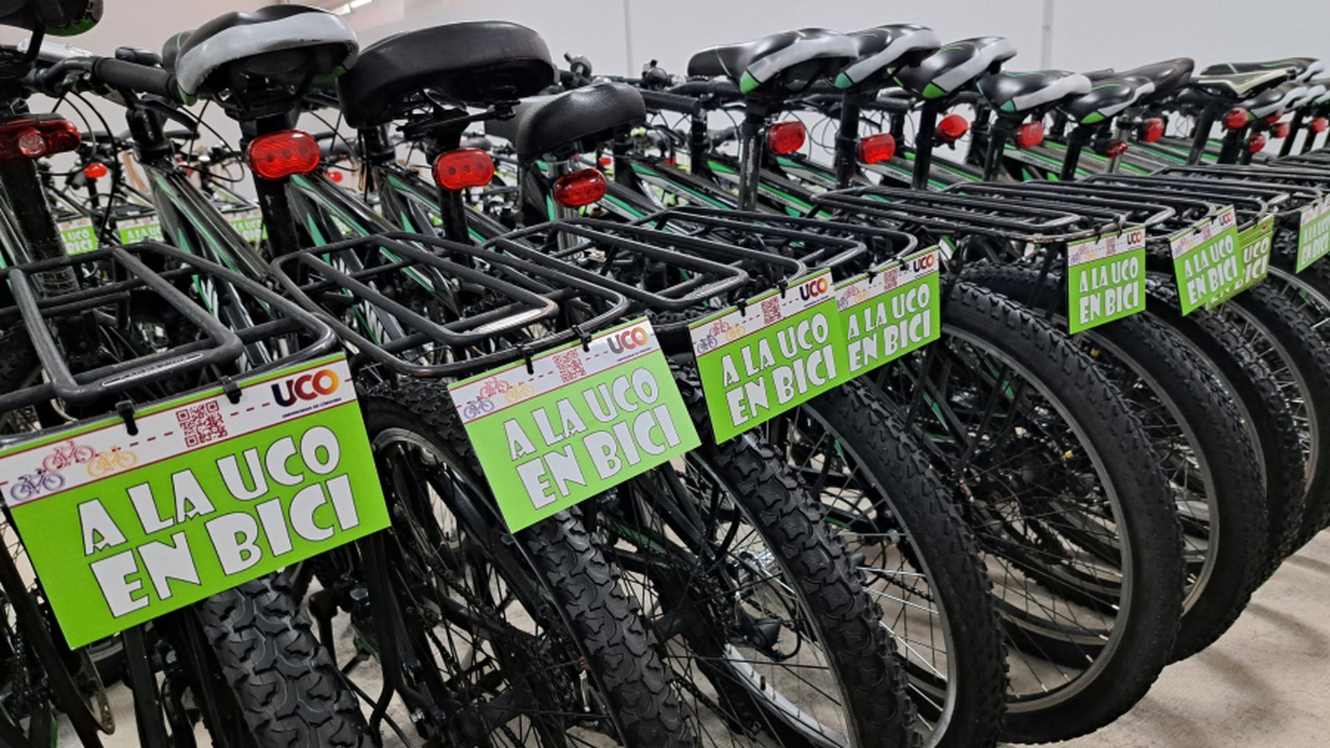 La Universidad de Córdoba ofrece cien bicicletas de montaña gratuitas para estudiantes y personal: condiciones del préstamo y cómo solicitarlo La Universidad de Córdoba ofrece cien bicicletas de montaña gratuitas para estudiantes y personal: condiciones del préstamo y cómo solicitarlo