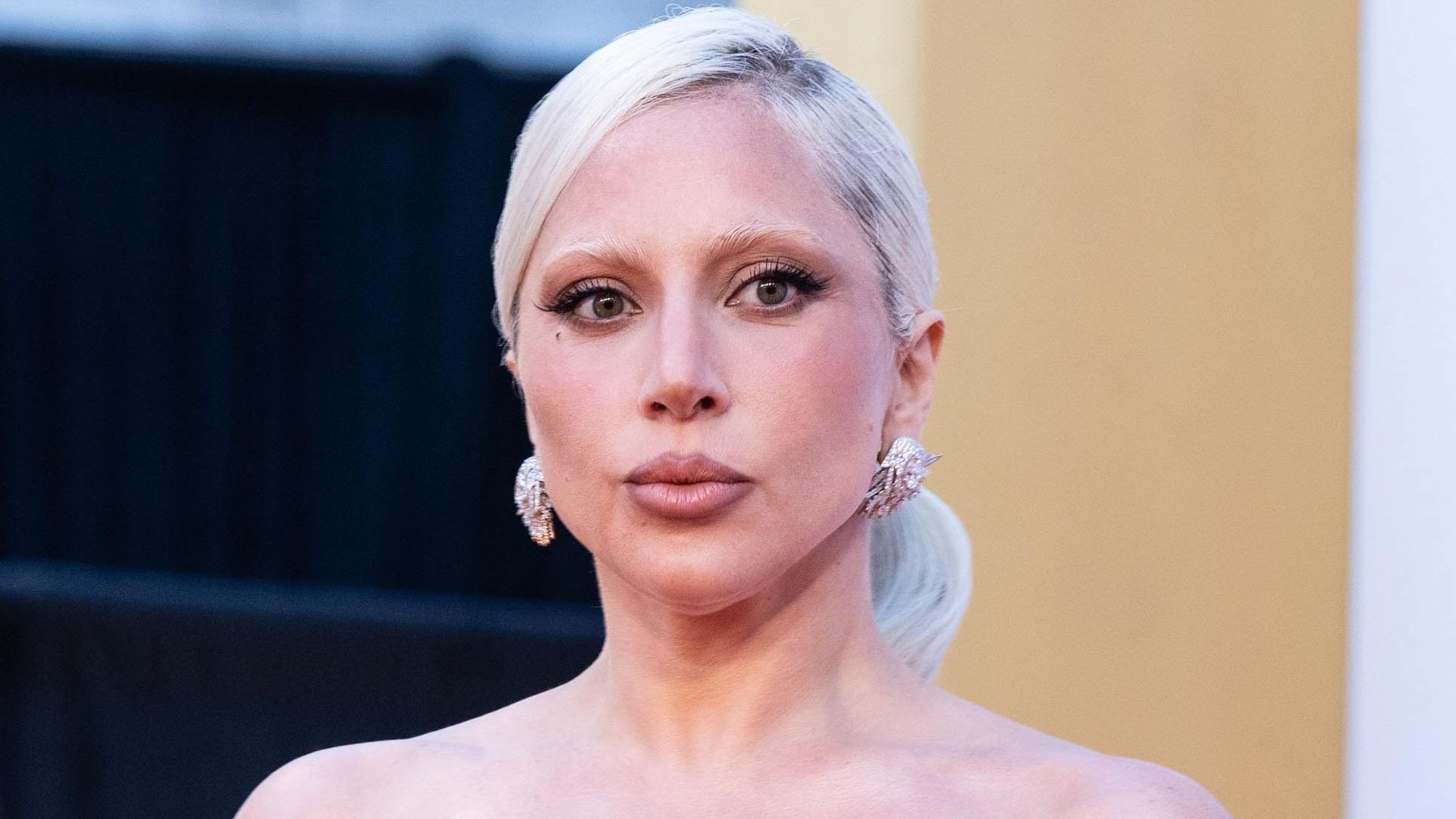 Lady Gaga Lady Gaga