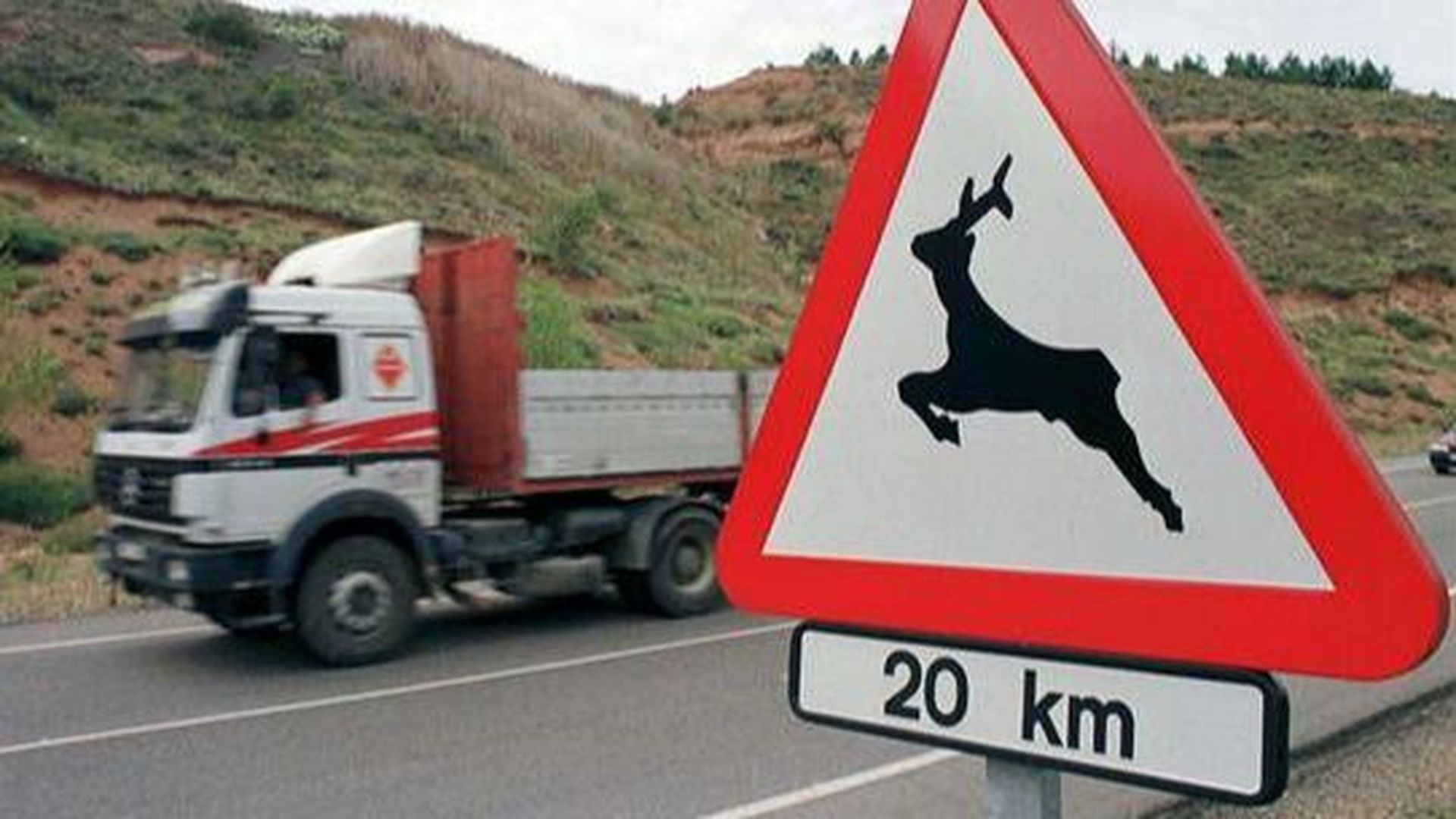 Señal de presencia animales