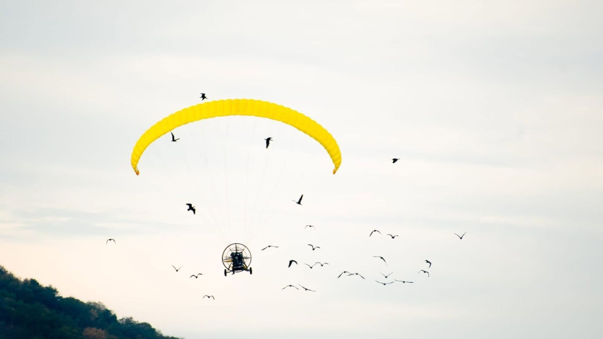 Un ultraligero guía a las aves durante 2.500 kilómetros Un ultraligero guía a las aves durante 2.500 kilómetros