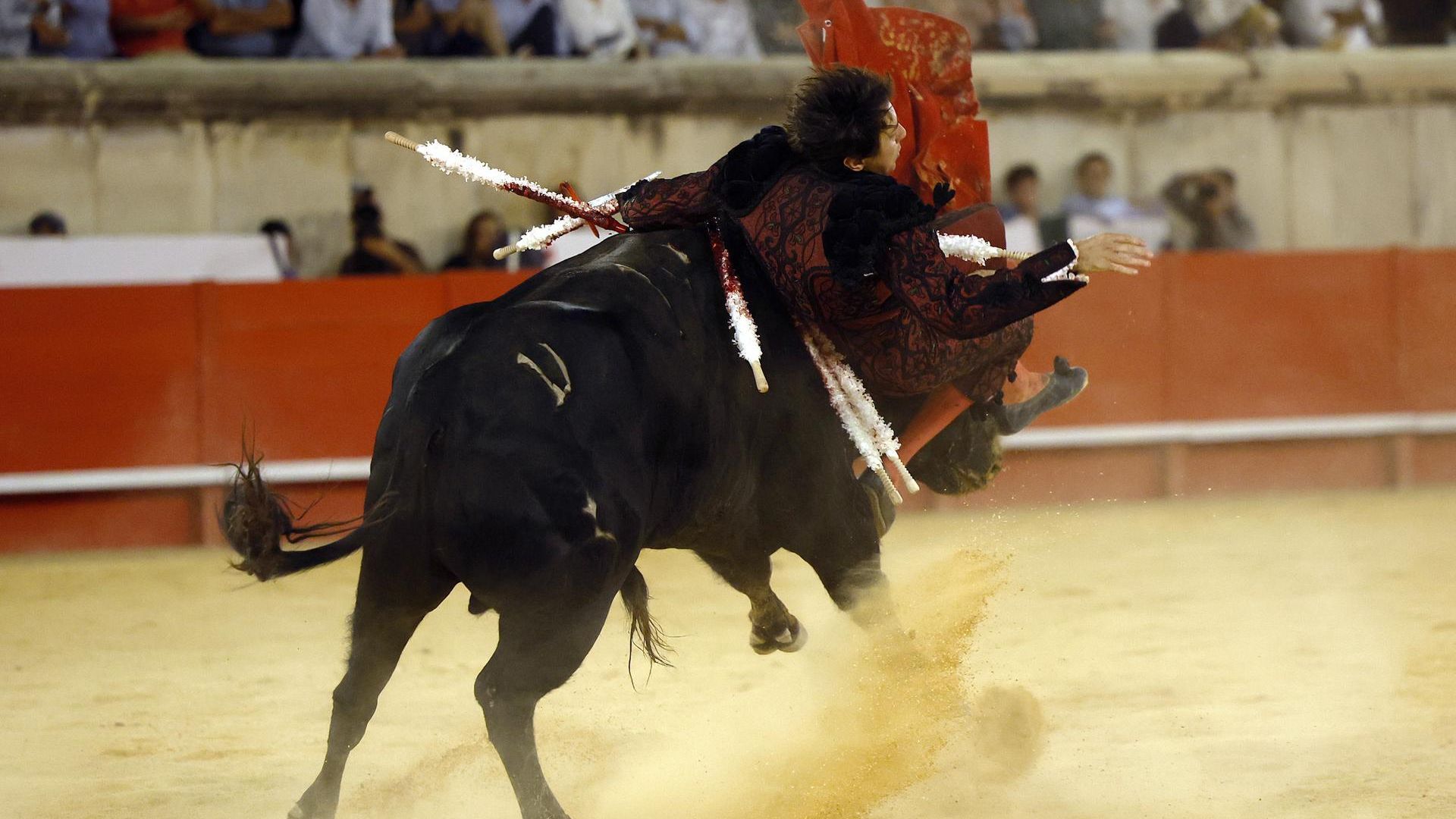 El torero Andrés Roca Rey sufre una grave cogida que le deja secuelas en la cara en Nimes, Francia
