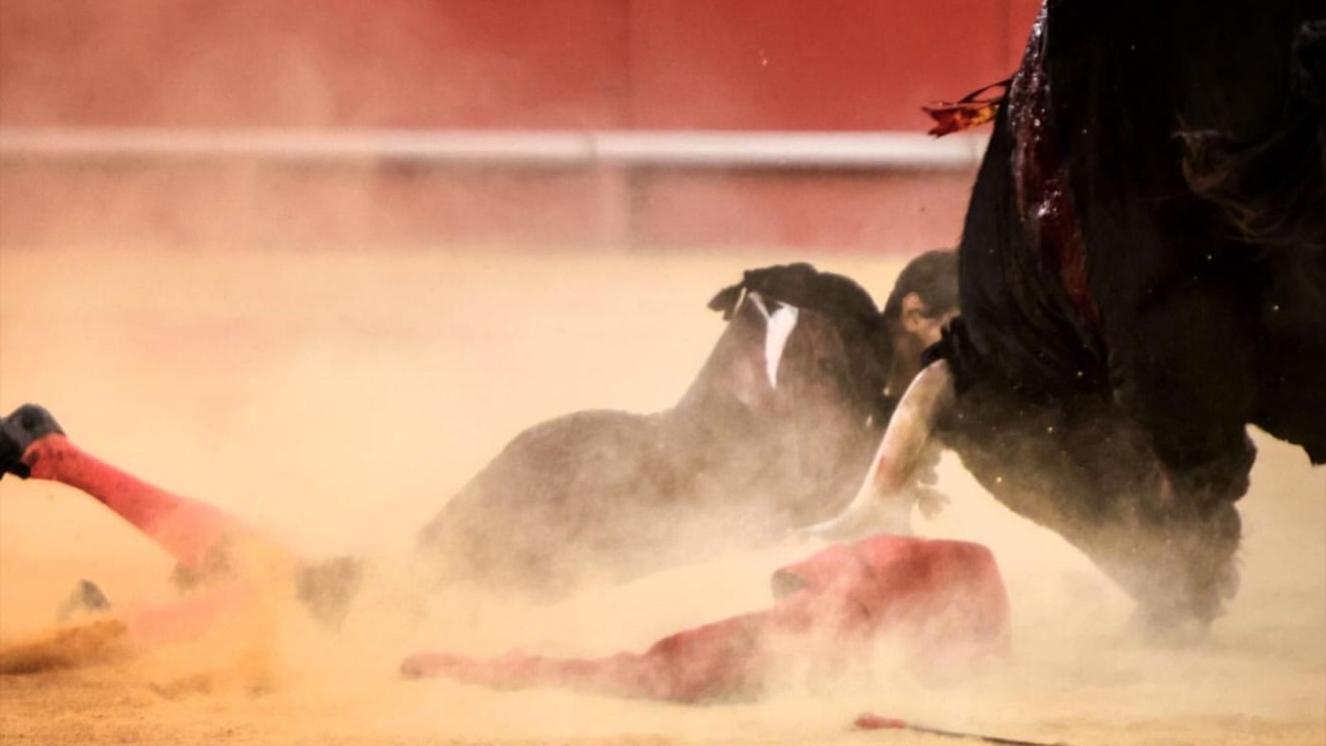 Roca Rey sufre una cogida en Nimes