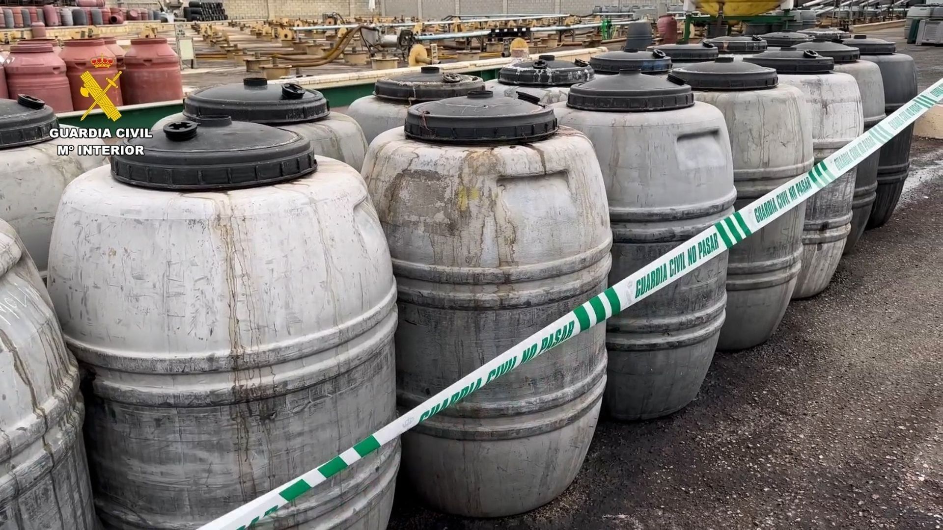 La Guardia Civil interviene varios depósitos de aceituna de mesa durante la operación contra una presunta estafa a productores de Sevilla y Huelva La Guardia Civil interviene varios depósitos de aceituna de mesa durante la operación contra una presunta estafa a productores de Sevilla y Huelva