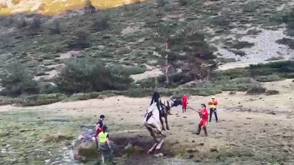 Así ha sido el complicado rescate en helicóptero de una vaca atrapada en una zona enchacada en Rascafría, Madrid