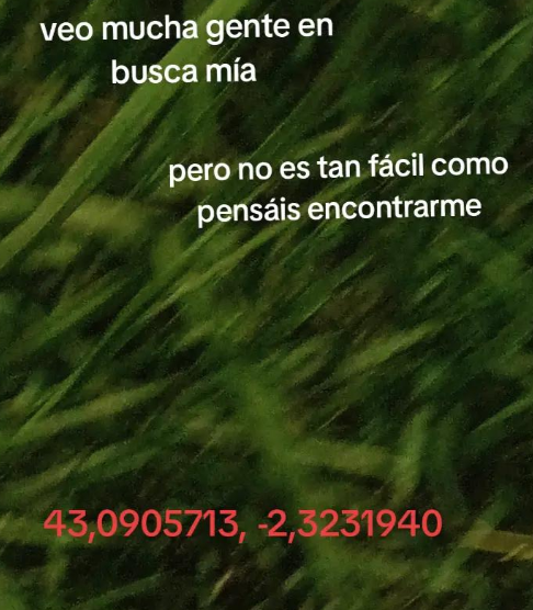 El payaso viral confesó en redes que nadie ha salido nunca disfrazado para aterrorizar por las calles