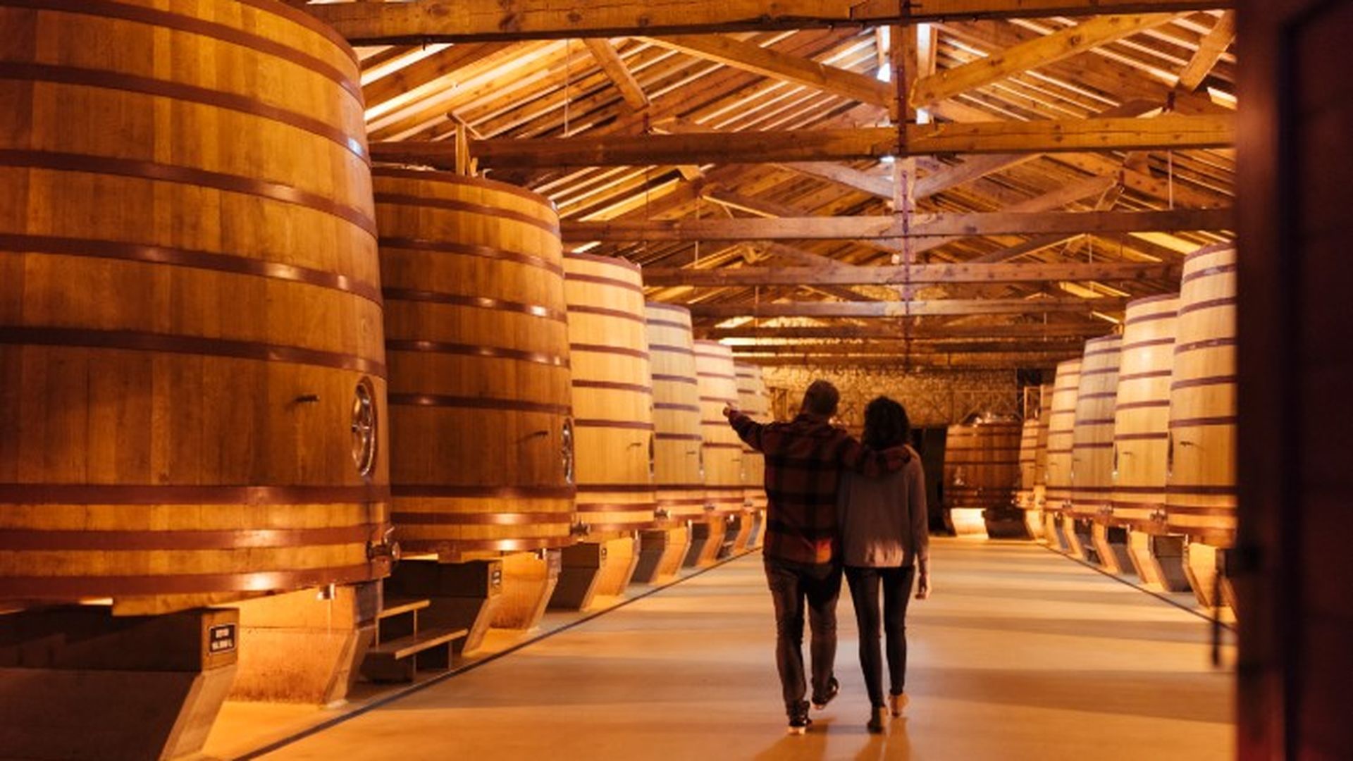 Tour de las bodegas Barrio de la Estación