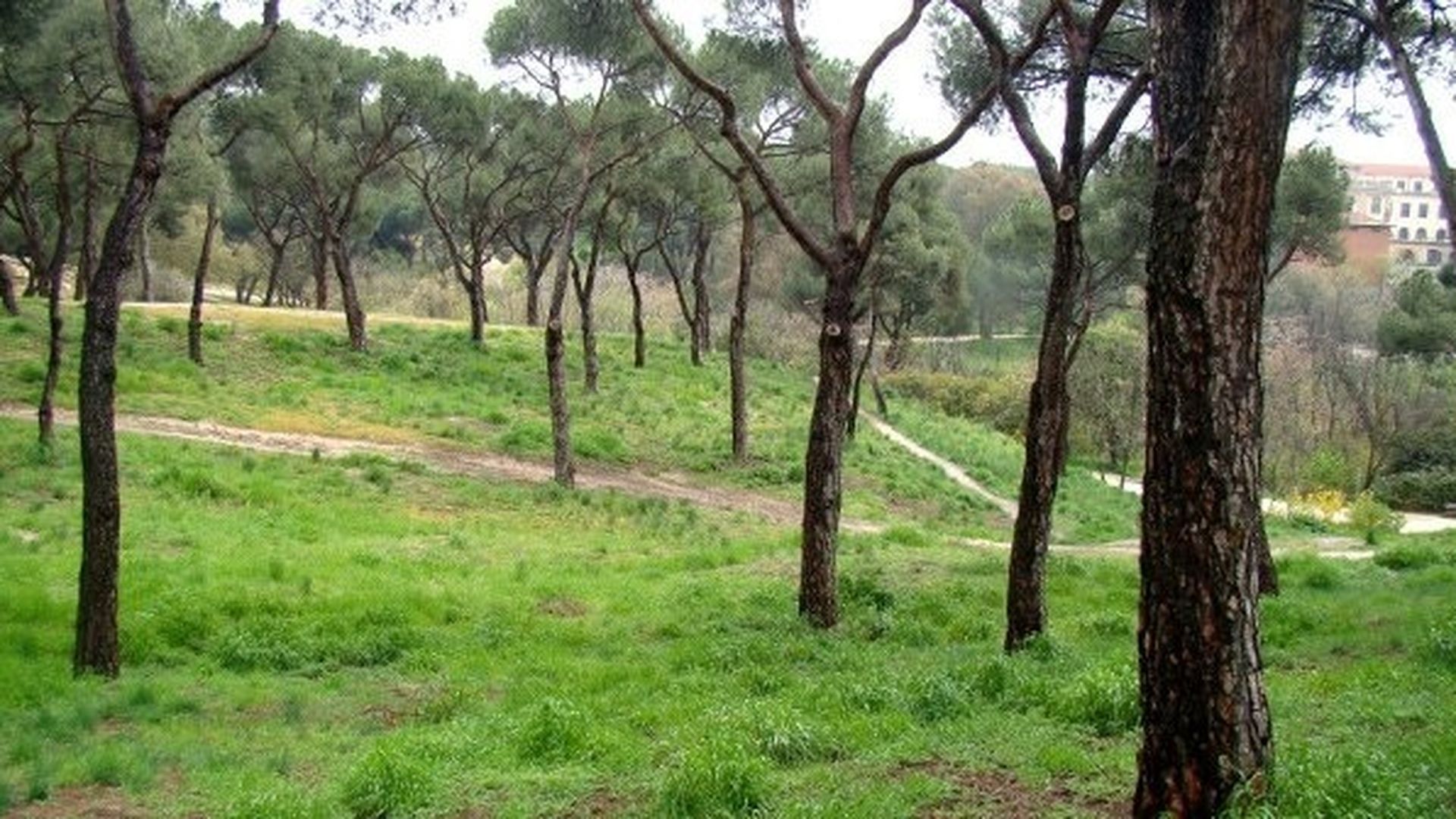 Parque de la Dehesa de la Villa, en Valdezarza