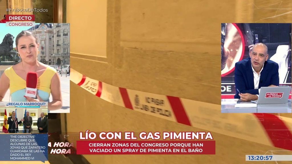 12 personas atendidas por gas pimienta en el Congreso de los Diputados: “Ana Vázque entrega voluntariamente el espray en la comisaría”