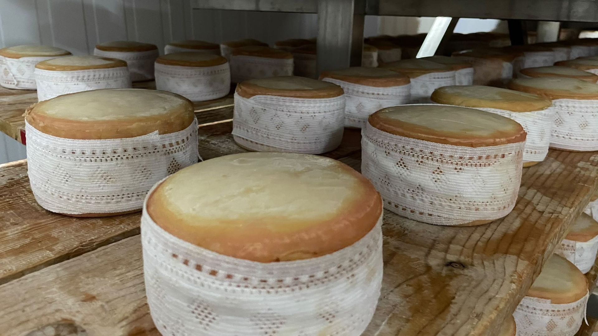 Cremositos del Zújar Cremositos del Zújar