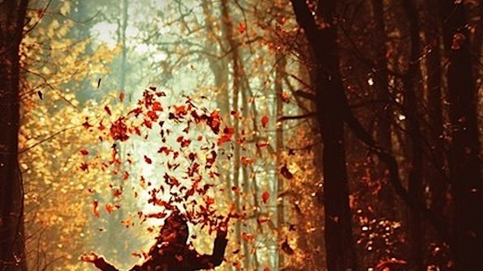 otoño,música de otoño,melancolía otoñal
