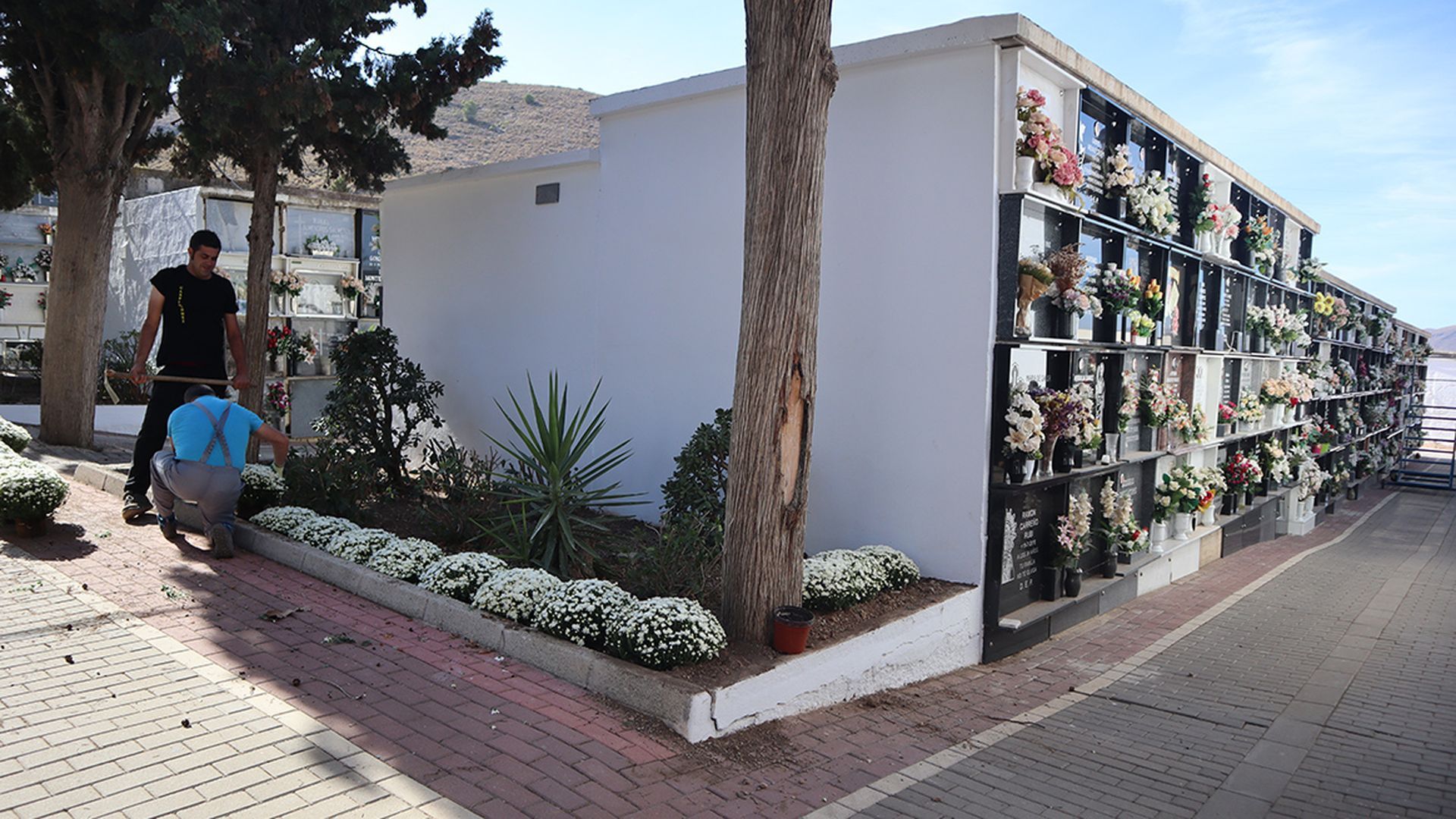 Buscan enterrador por 25.000 euros al año en Almería que realice desde inhumaciones hasta labores de mantenimiento del cementerio y acoger a las familias Buscan enterrador por 25.000 euros al año en Almería que realice desde inhumaciones hasta labores de mantenimiento del cementerio y acoger a las familias